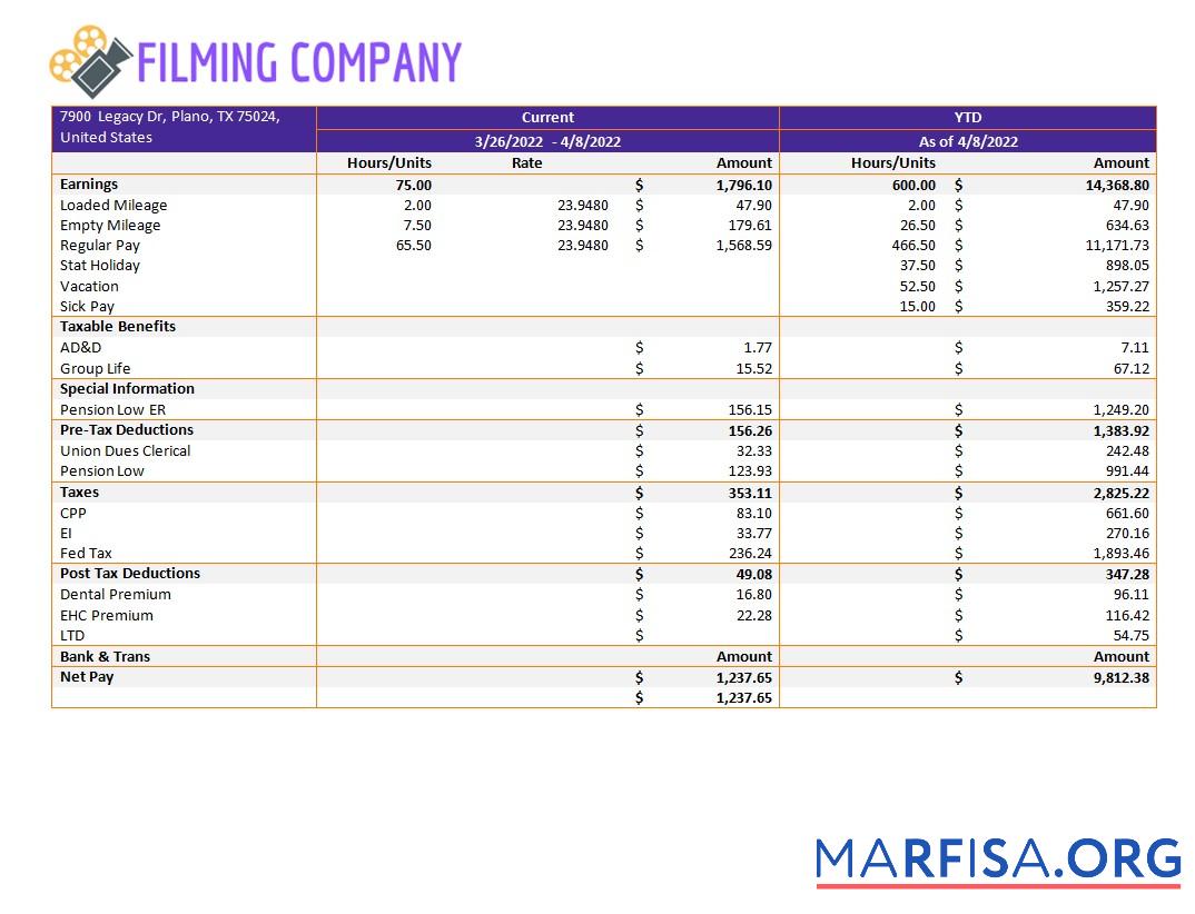 Printable Filming company pay stub example